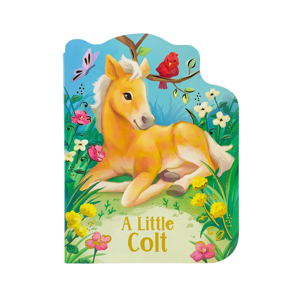 A Little Colt Shaped Board Book