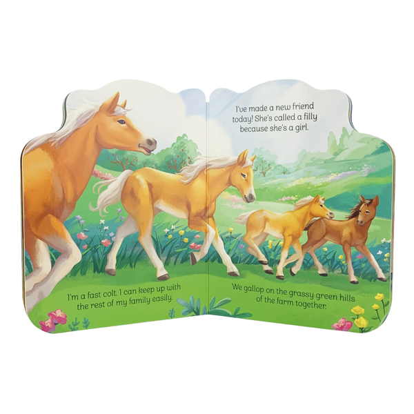 A Little Colt Shaped Board Book