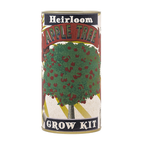 Heirloom Apple Tree Seed Grow Kit
