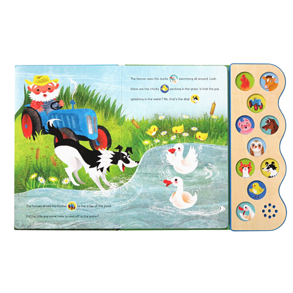 Busy Noisy Farm Interactive Sound Book