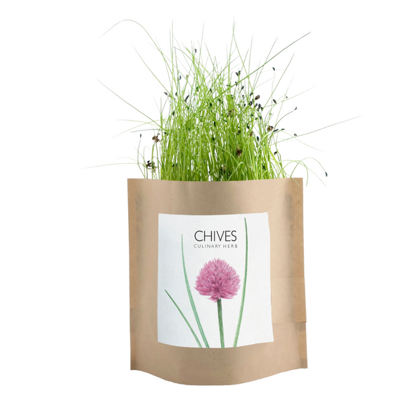 Chives Garden in a Bag