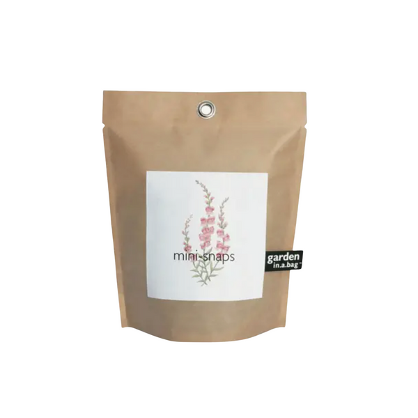 Snapdragon Garden in a Bag