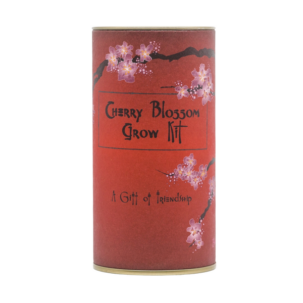Japanese Cherry Seed Grow Kit