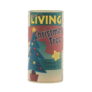 Living Christmas Fir Tree | Seed Grow Kit