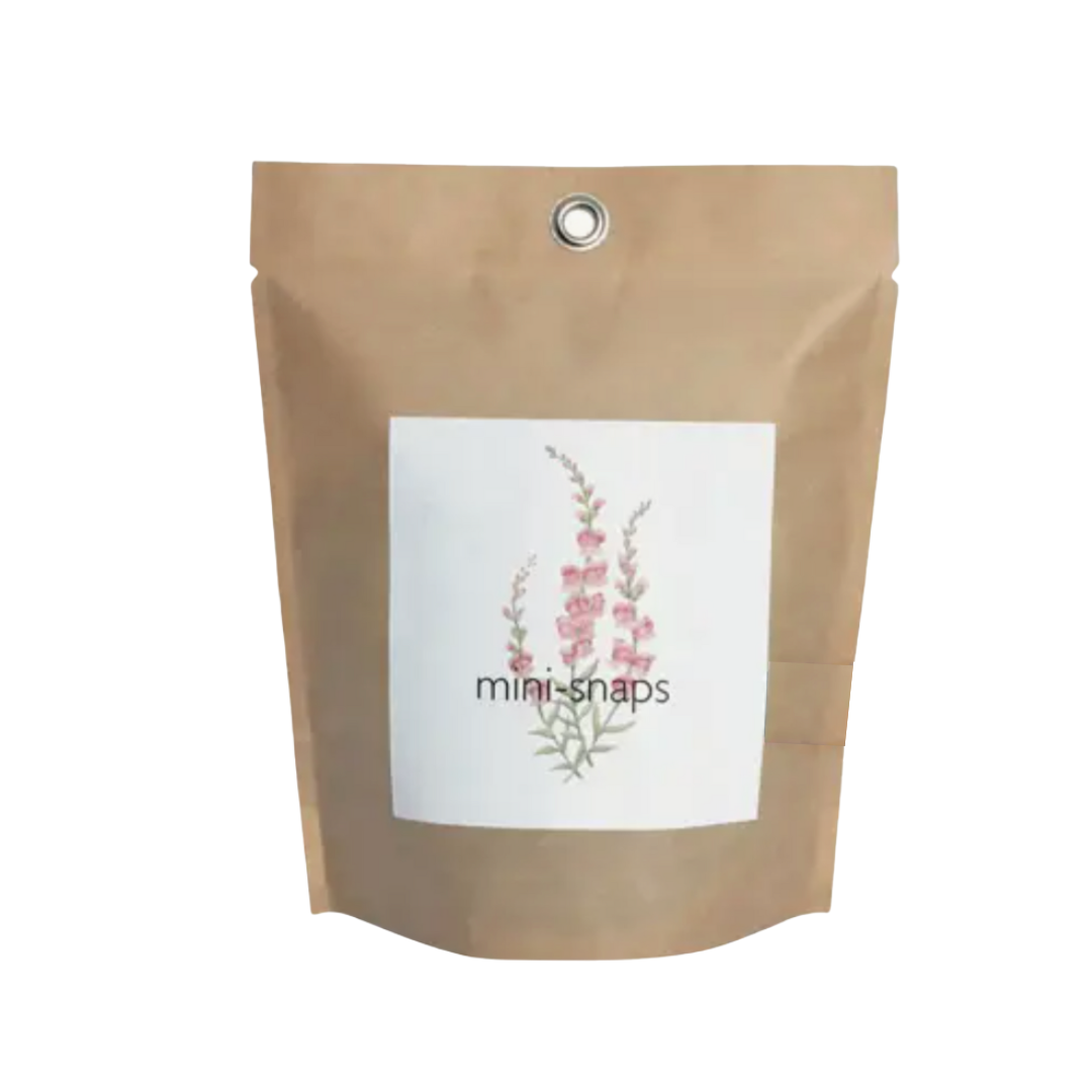 Snapdragon Flower Seed Kit
