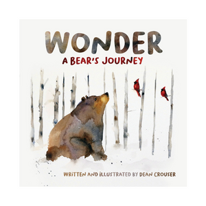 Children book - WONDER: A Bear's Journey